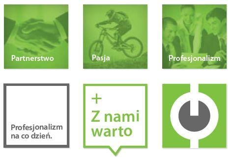 Partnerstwo Pasja Profesjonalizm